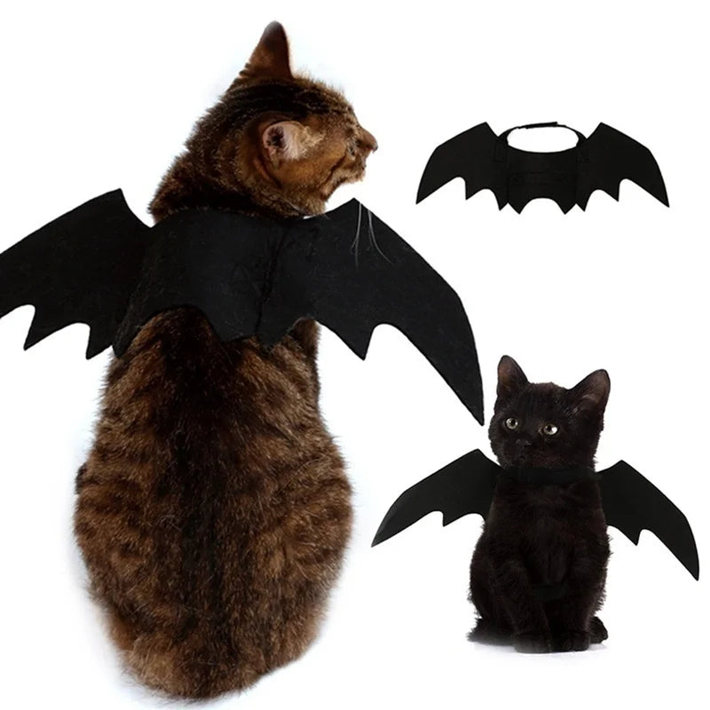 Costumes for Pets