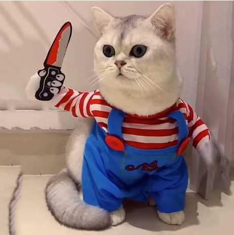 Costumes for Pets